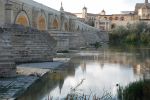 PICTURES/Cordoba - The Roman Bridge/t_Roman Bridge 10.JPG